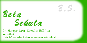 bela sekula business card